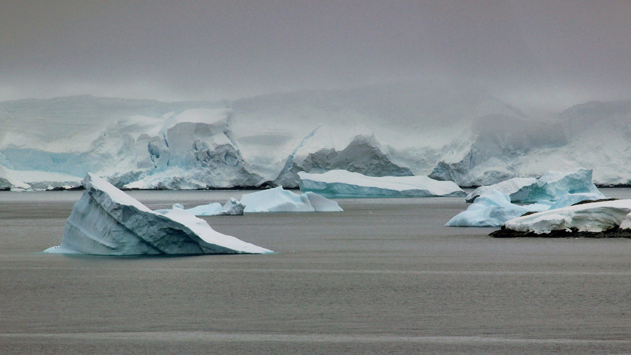 Light blue coloured icebergs sit in a grey sea in Antarctica