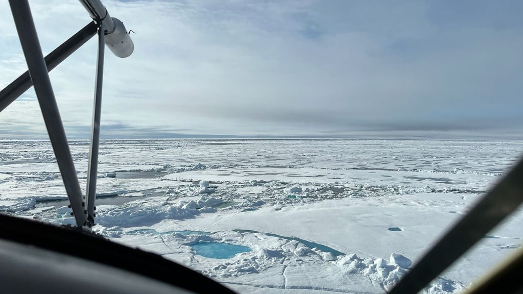 White, arctic sea-ice sheet below a cloudy sky