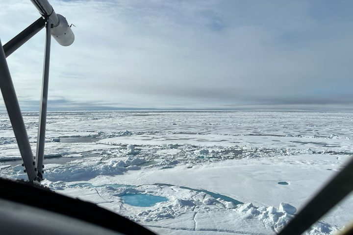 White, arctic sea-ice sheet below a cloudy sky