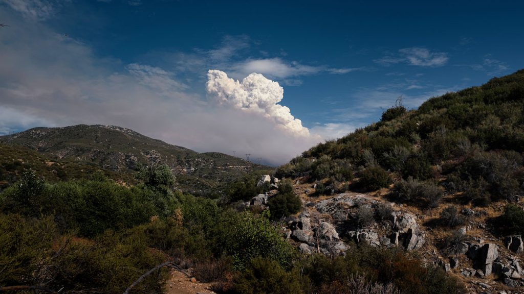 Smoke rises in the distance over a hilly forest