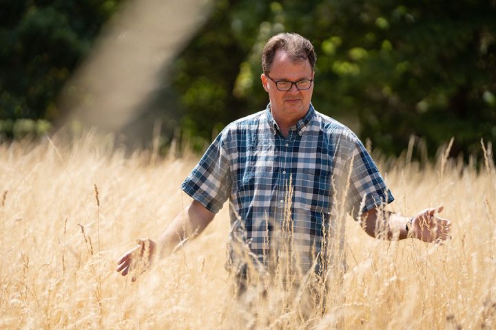 Person wearing glasses and check shirt stands in a field of long, dry grass looking at the grass