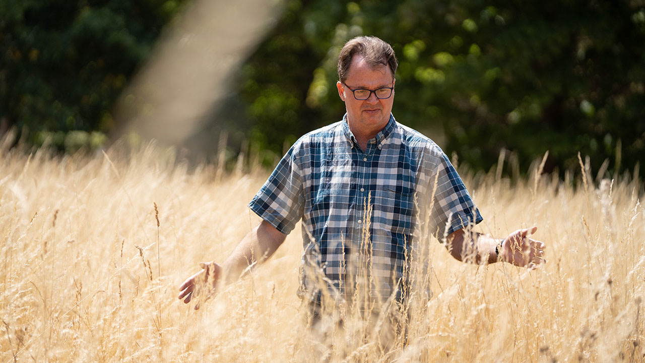 Person wearing glasses and check shirt stands in a field of long, dry grass looking at the grass