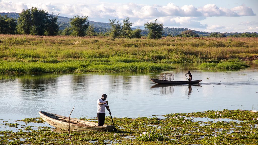 Two people on small thin wooden boats on a river with green vegetation all around