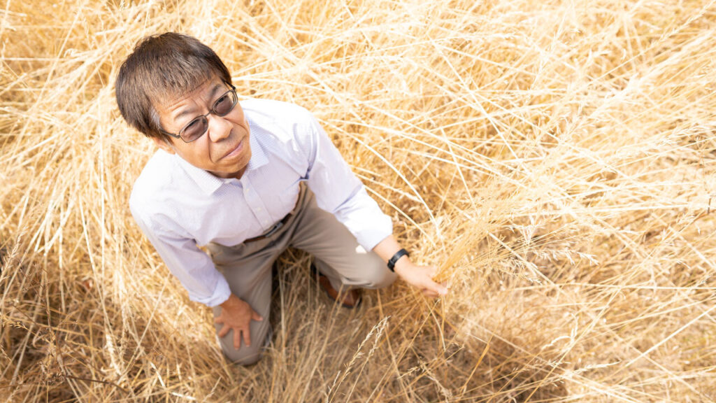 Person wearing glasses and light shirt crouches in a field of long, dry grass. They look upwards towards the sky.