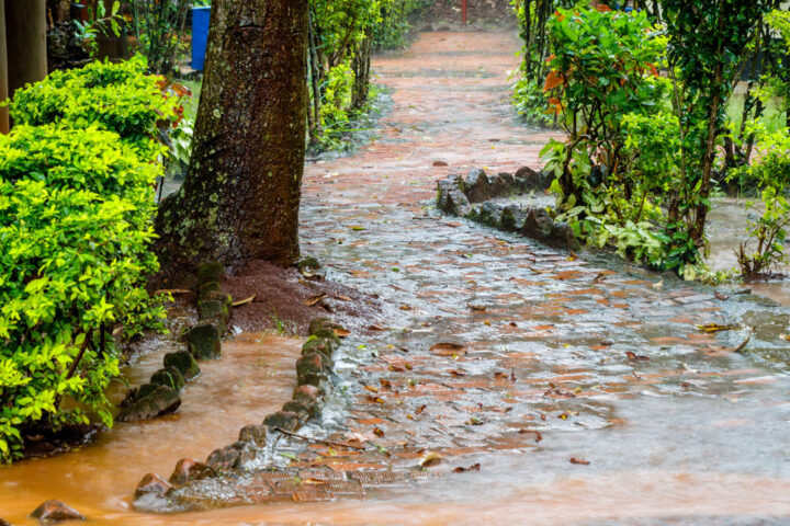 Brown flood water flowing across a path leading through green trees and hedges.