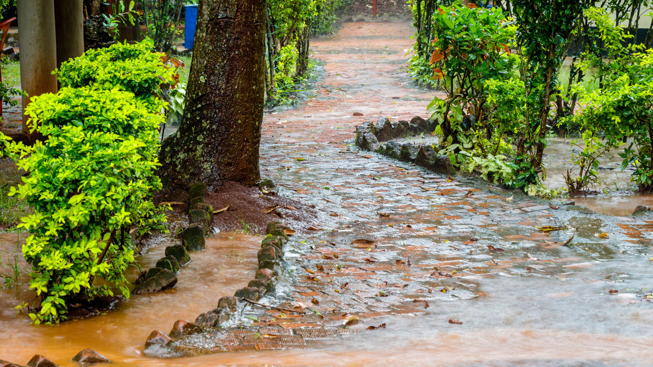 Brown flood water flowing across a path leading through green trees and hedges.