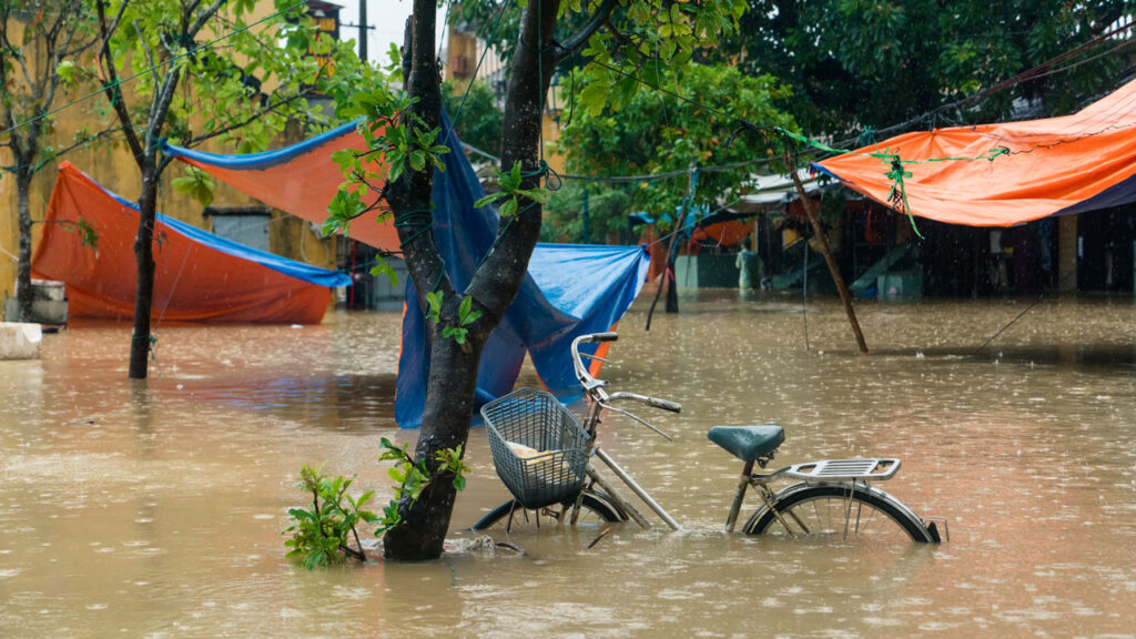 Bike chained to tree submerged in brown flood water. Trees with blue and orange tarpaulin in background.