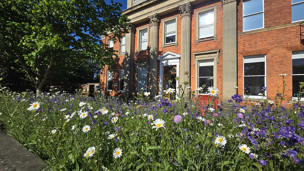 Wildflowers in front of a grand red brick building