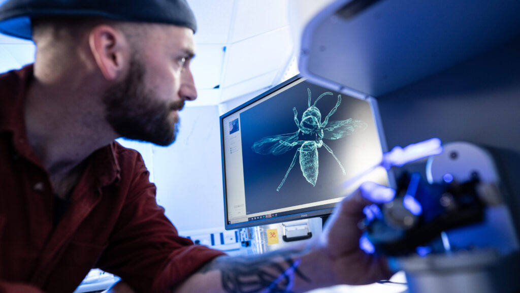 Person with a beard and wearing a hat looks at a computer screen showing a 3D scan of an insect.