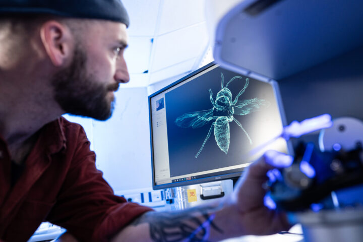 Person with a beard and wearing a hat looks at a computer screen showing a 3D scan of an insect.