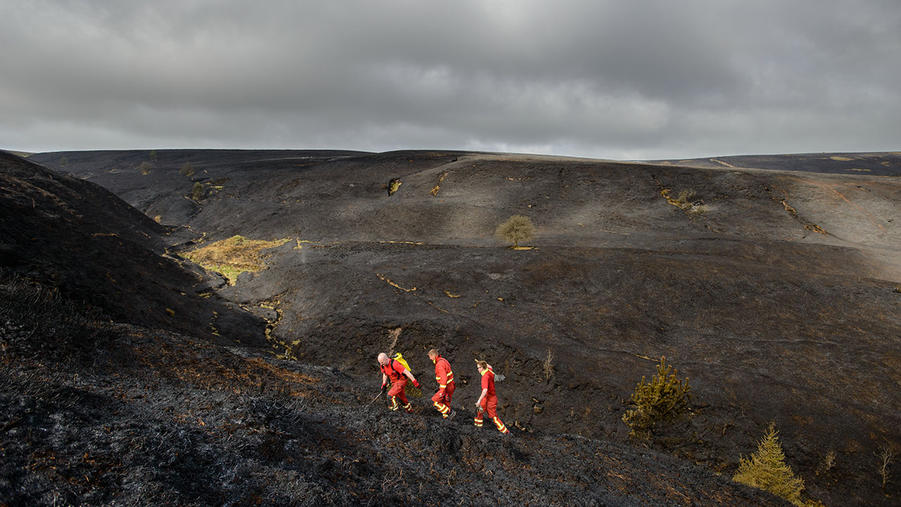 Black burnt moorland landscape, still smouldering, with grey cloudy skies, and 3 firefighters wearing orange uniforms walking uphill from the right