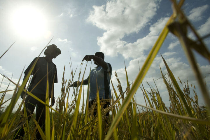 Two people stoof above grass, with a sunny but cloudy sky behind them.