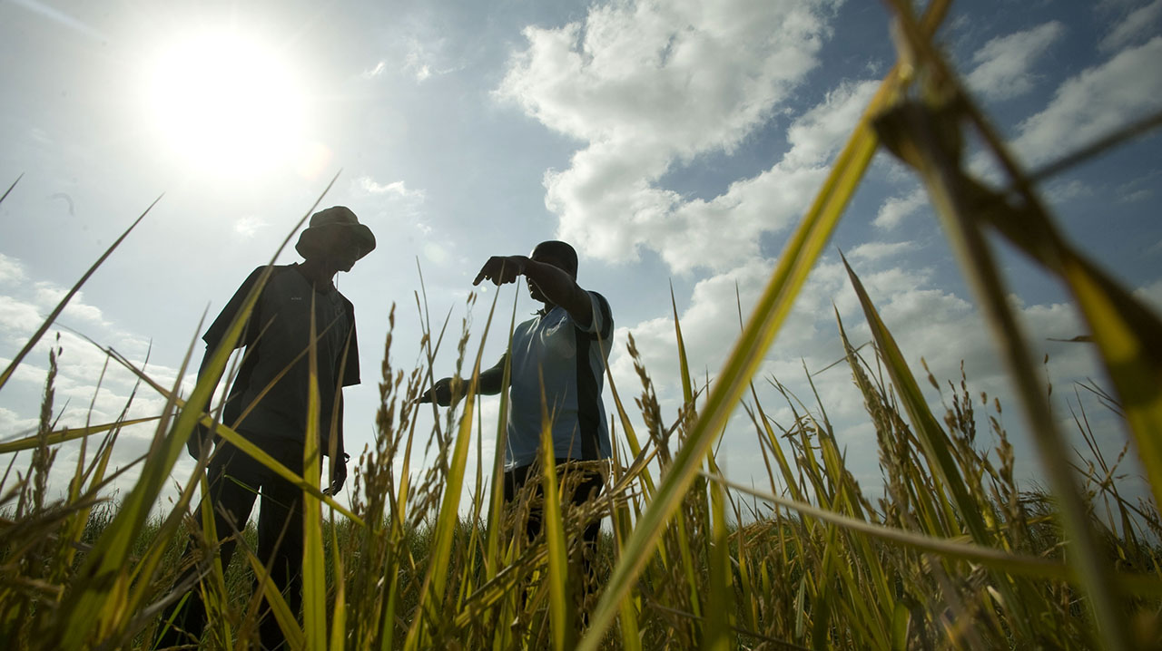 Two people stoof above grass, with a sunny but cloudy sky behind them.