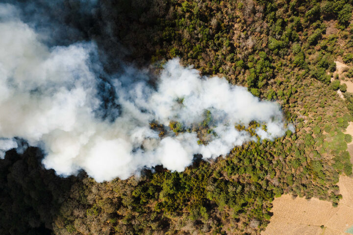 An aerial view of wildfire smoke plume rising out of a forest.