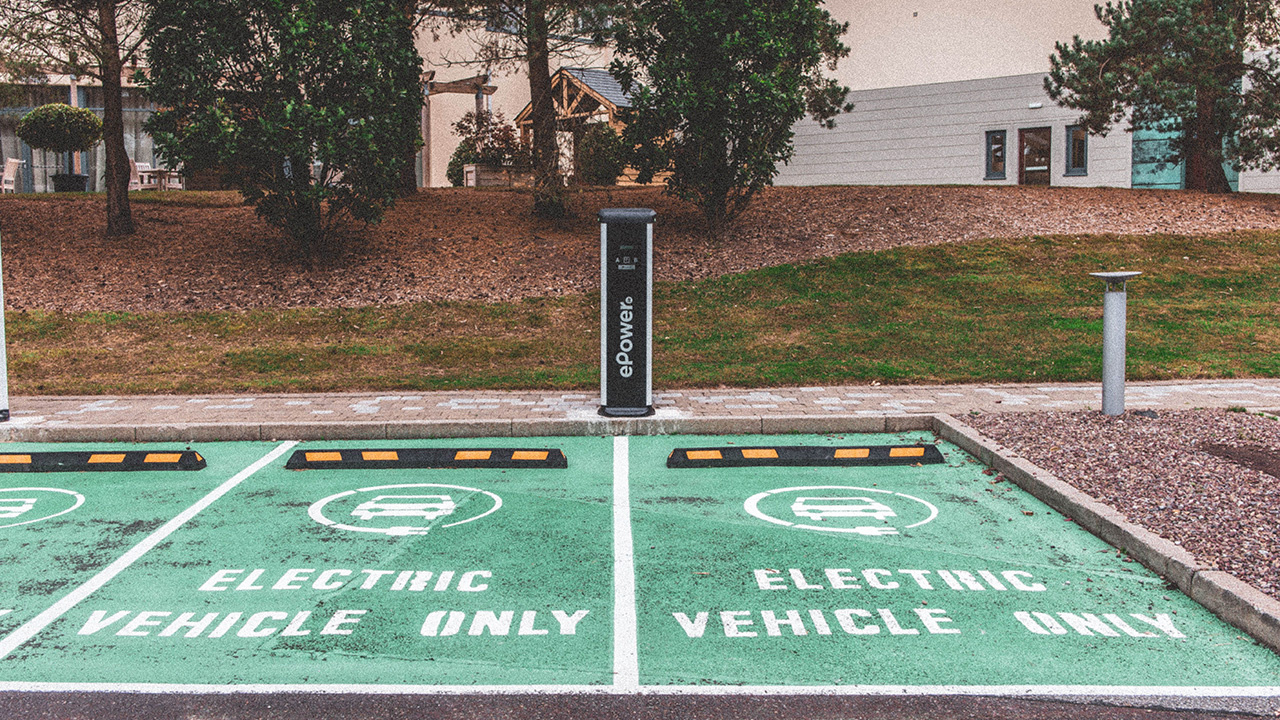 Green coloured car parking spots that show that an electric vehicle can be charged there. In front of some grass and trees, and there is a large building in the background.